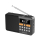 Radio internetowe Zenwire Mini Radio FM Bezprzewodowe YSF-005BT